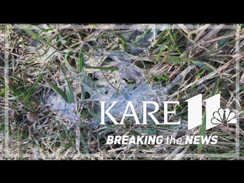 As allergy season heats up, experts say climate change is making things worse