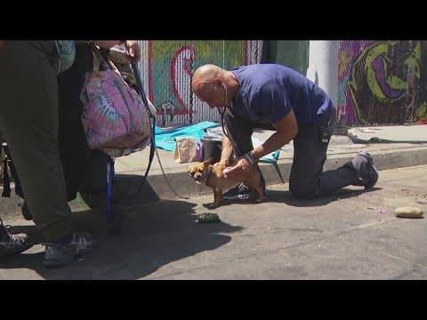 Project Street Vet honored with $90k grant