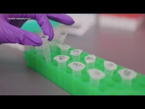 Gene therapy to treat sickle cell disease