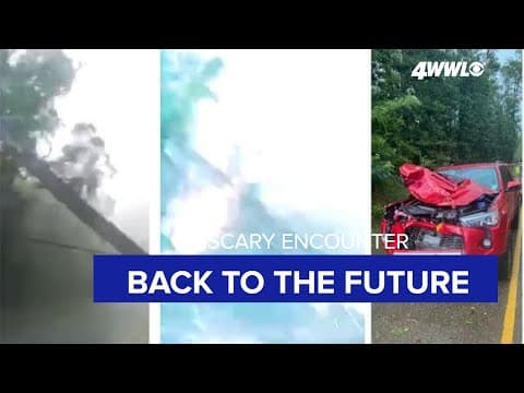 Video: Falling tree, power line just miss landing on car in Louisiana