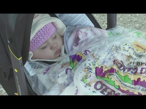 Mardi Gras King Cake Frenzy