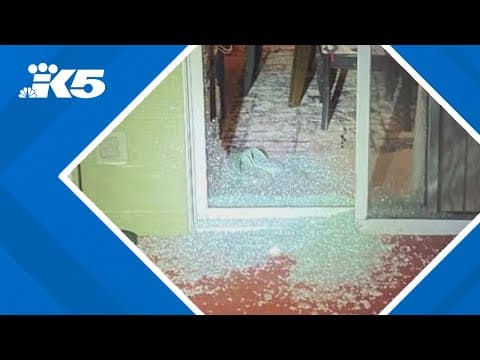 Renton police investigate 11 home burglaries in January so far