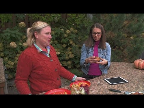 Record harvest for fall fruit at the Minnesota Landscape Arboretum
