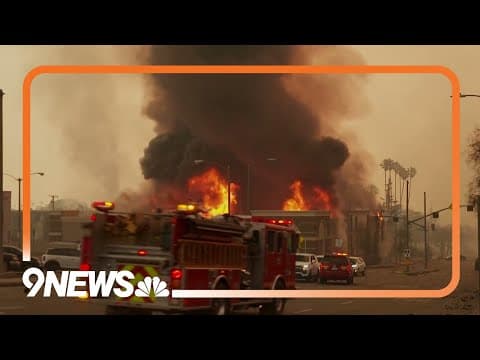 Businesses demolished in the Pacific Palisades after wildfire engulfed parts of Los Angeles