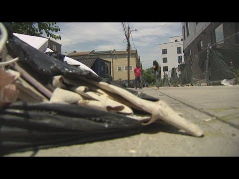 Illegal dumping in Southeast DC leading to rodent, racoon and odor issues