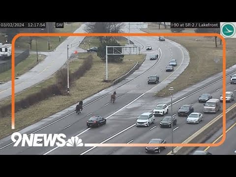 CAUGHT ON TAPE: Two horses run loose on Cleveland interstate