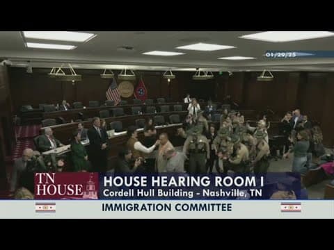 Several protesters escorted out of committee meeting on immigration