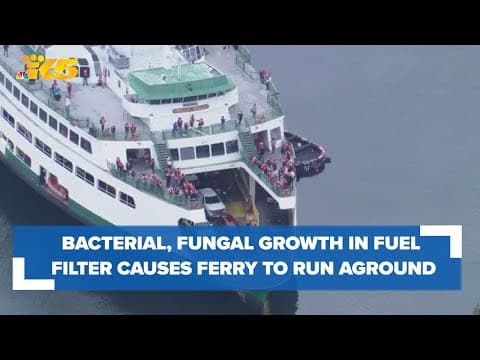 'Black sludge' in fuel tank to blame for ferry running aground near Bainbridge Island