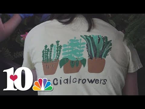 Blount County business beautifies McGhee Tyson Airport