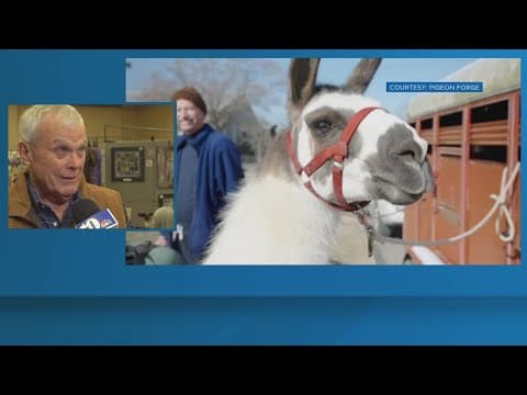 Pigeon Forge celebrates the outdoors during Wilderness Wildlife Week