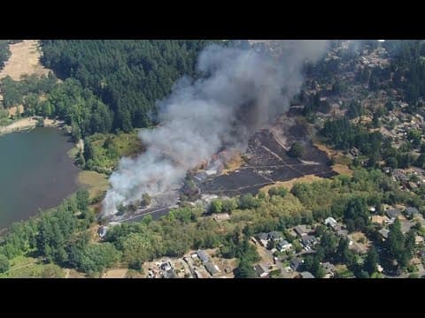 WATCH: Burn scar in Fort Steilacoom Park in Lakewood