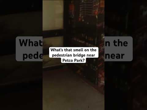 There’s a second elevator, but it's broken. So people have to use the filthy elevator or the stairs.