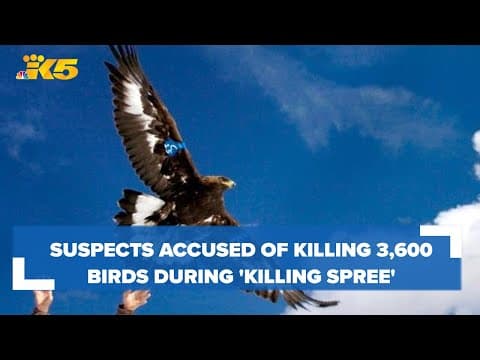 Suspects accused of killing 3,600 birds during yearlong 'killing spree'