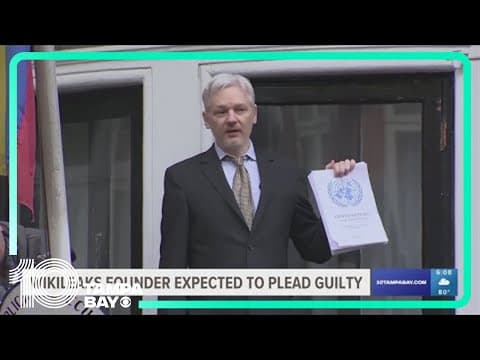 WikiLeaks founder expected to plead guilty to espionage charges