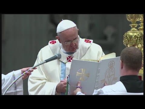 Pope formally approves same-sex blessings