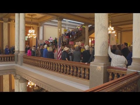 Democrats protest JD Vance's Indiana visit at Statehouse