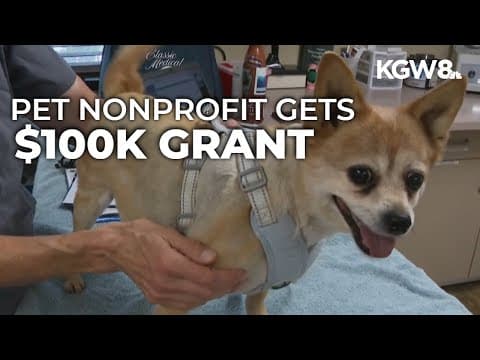 Grant helps Portland nonprofit expand free vet care