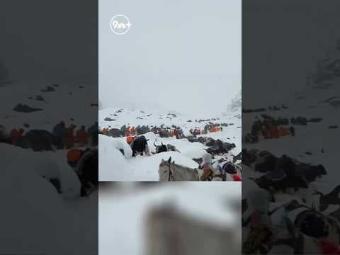 Mount Everest blizzard rescue