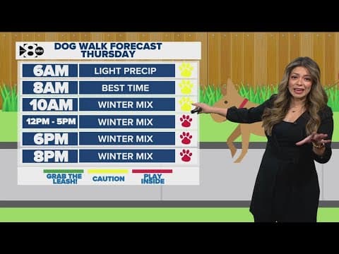 DFW snow forecast timeline: Best times to take your pet out this week