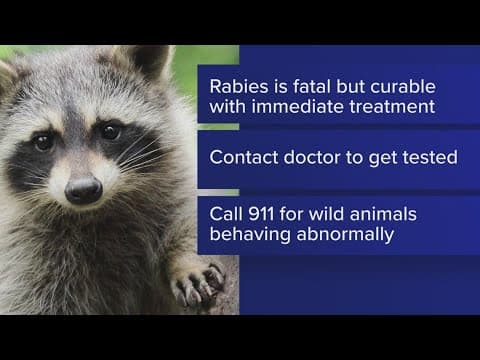 Officers find raccoon with 'liquid substance oozing from its mouth' near Target parking lot