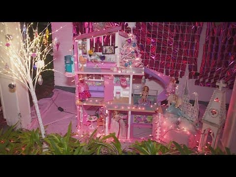 Barbie-inspired Christmas lights up Lake Terrace