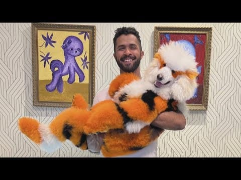 Famous dog groomer volunteers to give shelter dogs a new colorful look