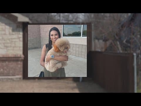 North Texas woman hit and killed by stray bullet, police say