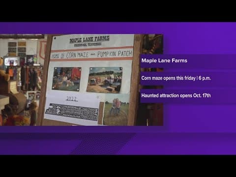 Maple Lane Farms opens corn maze for fall season, set to debut new spooky attraction