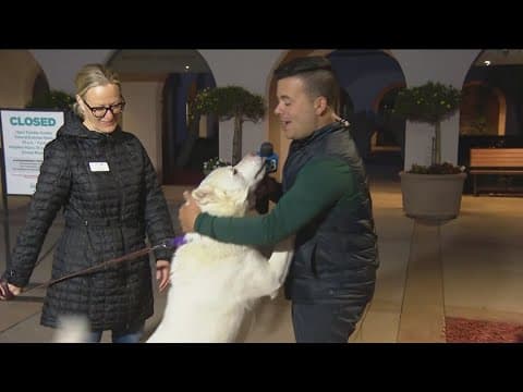 SD Humane Society celebrating Giving Tuesday