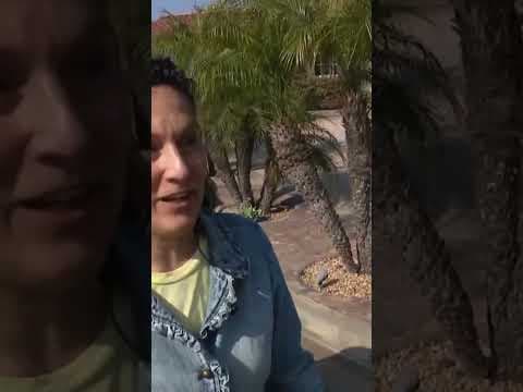 Viewers continue to reach out to CBS 8 about City of San Diego garbage trucks destroying trash cans.