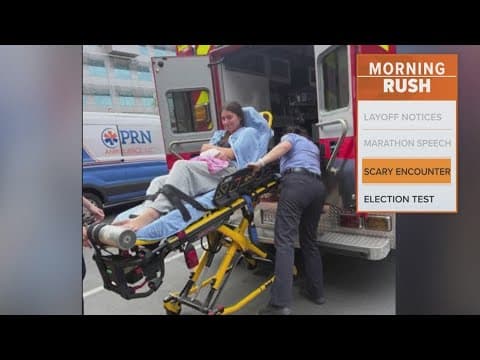 California teenager describes encounter with aggressive seal