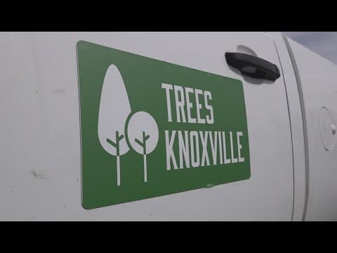 New tree program offers shade at KAT bus stops