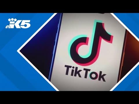 TikTok shuts down in US as ban takes effect