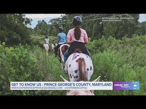 Janemark Winery & Vineyard and Foxfire Farm in Prince George's County offer an escape from the hustl