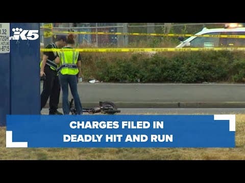 Charges filed in deadly hit and run