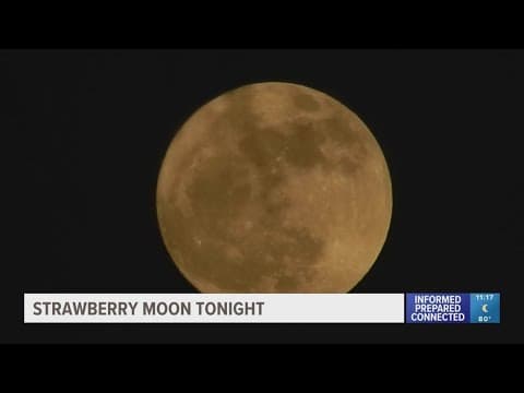 Strawberry moon rises over Tampa Bay