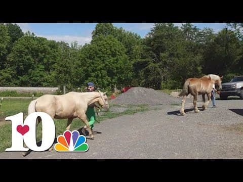 Faith N Friends gives thanks to volunteers who help