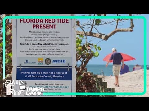 Officials keeping an eye on red tide off the coast of popular Tampa Bay beaches