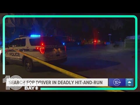 St. Pete police searching for driver involved in deadly hit-and-run with stolen vehicle