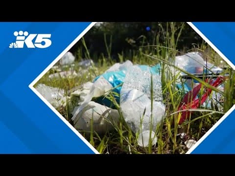 Snohomish County Litter Wranglers clean up Washington's illegally dumped trash