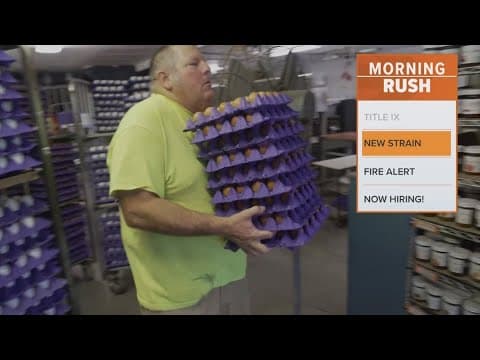 A new type of bird flu is affecting cattle in California