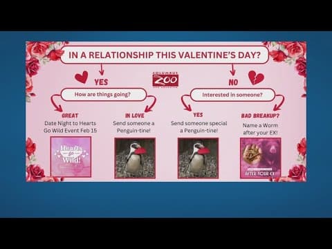 Feed your ex to the sloths for Valentine’s Day at the Columbus Zoo