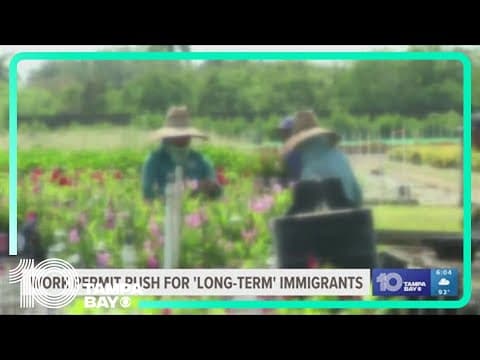 Tampa lawmakers call on President Biden to extend work permits to 'long-term' undocumented immigrant