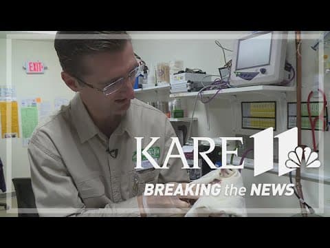 Australian veterinarian visits Minnesota animal rehab center during tour of the busiest centers in t