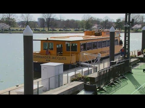How to get a view of DC's cherry blossoms from the water