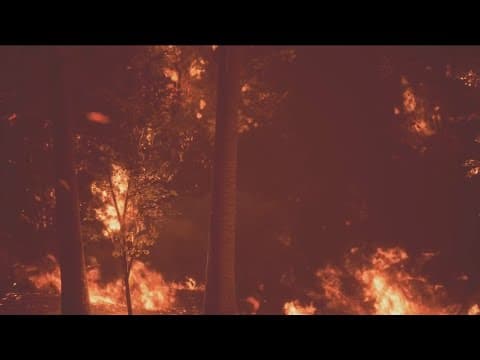 California working to implement stronger wildfire mitigation practices