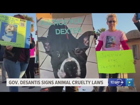 DeSantis signs animal cruelty bills based on two dogs from the Tampa Bay area