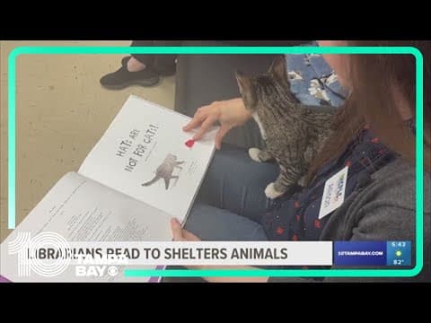 Hillsborough County librarians read to shelter animals