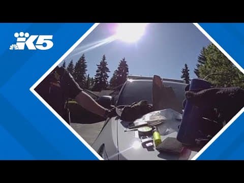 Man found with gun, M-80 during arrest, Pierce County deputies say