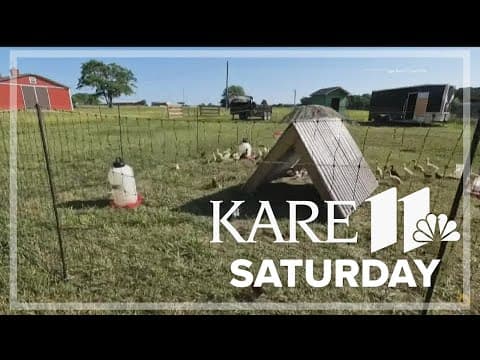 YouTuber and author offers tips on homesteading